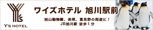 Y's HOTEL 旭川駅前